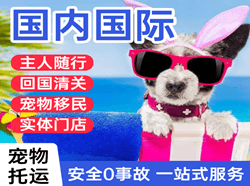 凤凰航空快递国际宠物托运 【国
